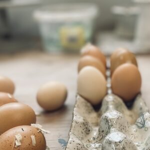 Hand Building Class - Friday Midday