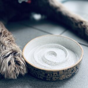 Family Clay Date - Sun Mar 8th