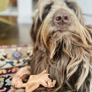 Family Clay Date - Sun Mar 8th